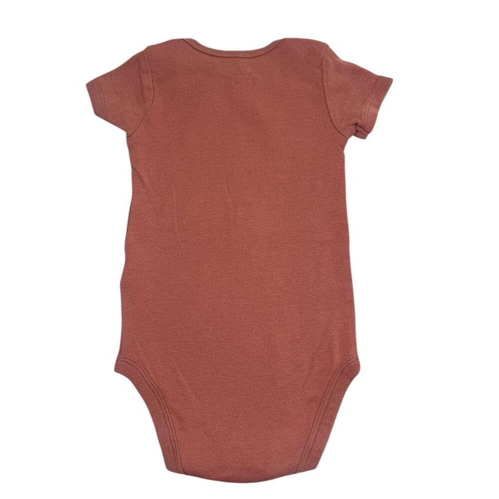 Carter's Bodysuit Bundle Baby Girl Hummingbird Heart Brown 9 Months - Picture 3 of 6